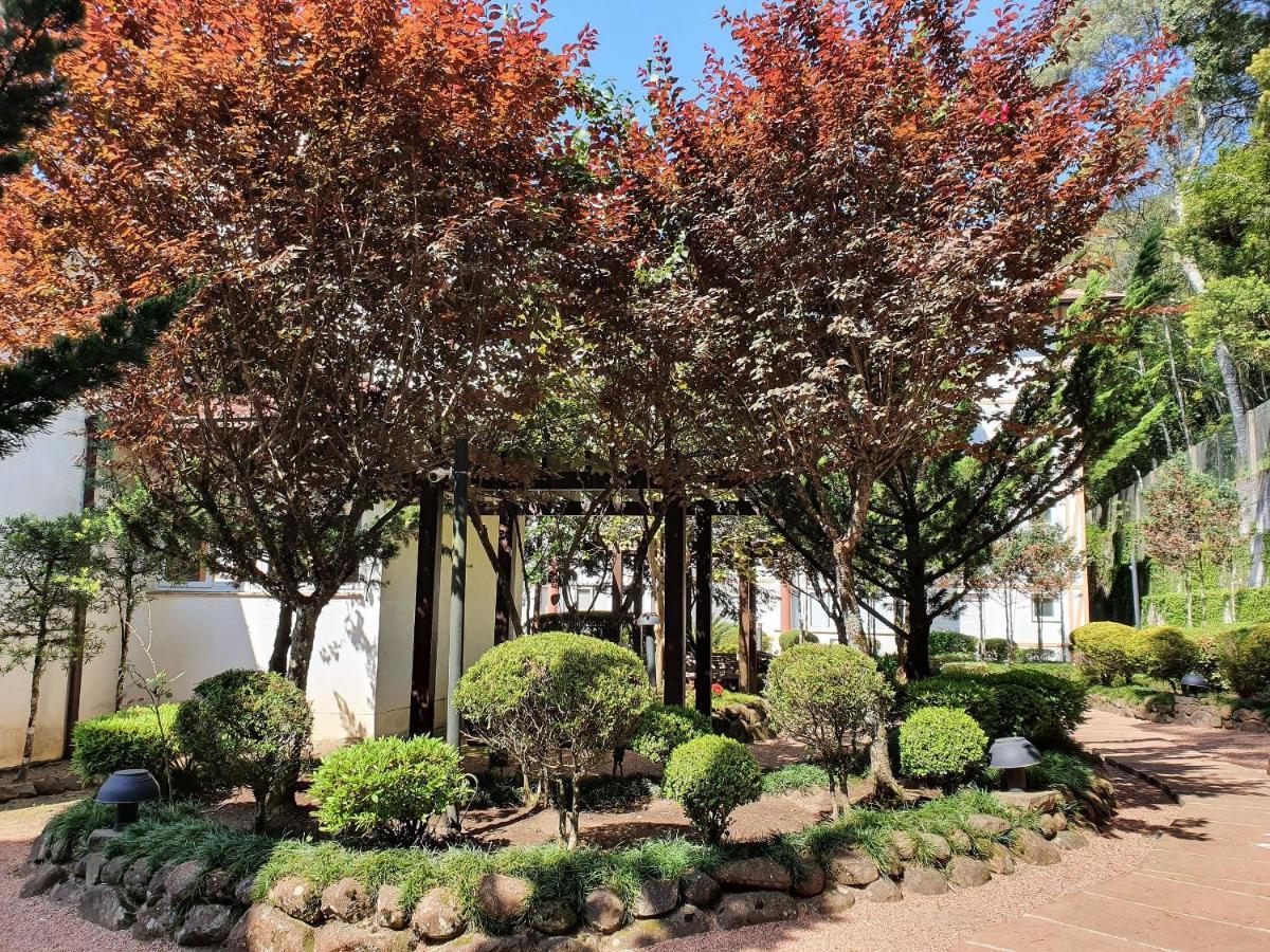 Apto No Centro De Gramado Com Piscina Termica Экстерьер фото